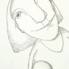 Wende